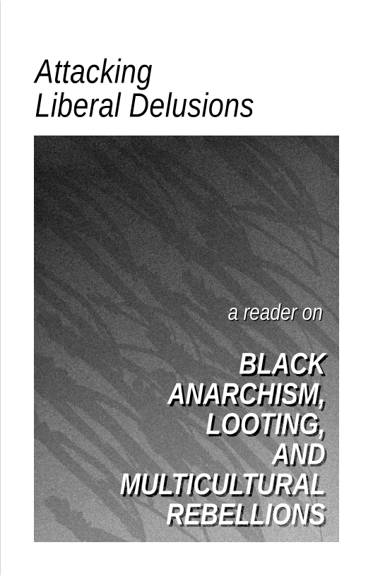 Attacking Liberal Delusions  areader on  BLACKS ANARCHIS} LOOTING;  